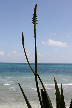 IMG_9653.JPG