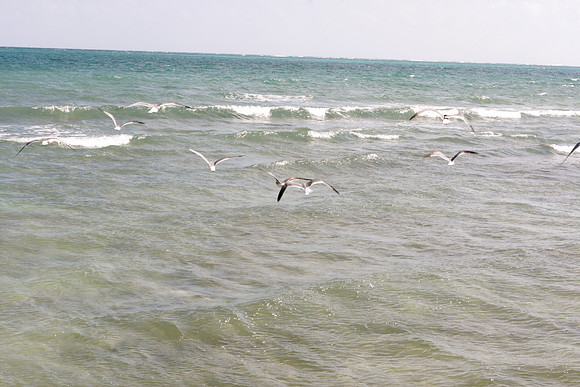 IMG_9663.JPG
