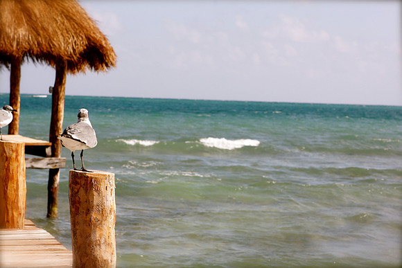 IMG_9659.JPG