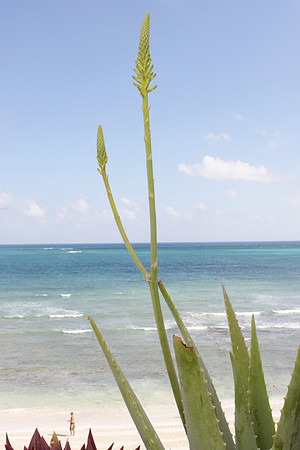 IMG_9652.JPG