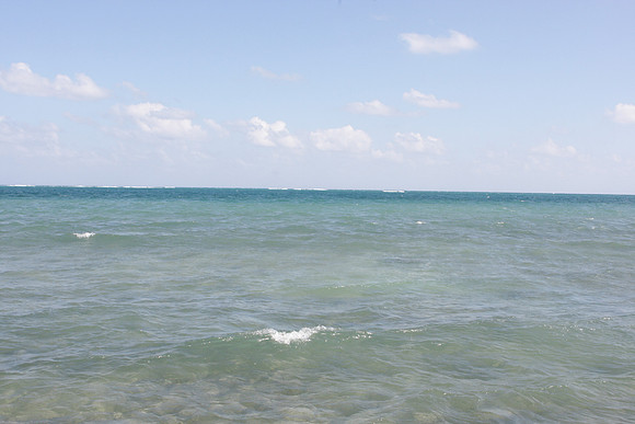 IMG_9668.JPG