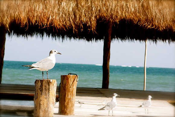 IMG_9665_2.JPG